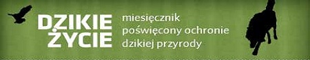 Blog -Puszcza Biaowieska