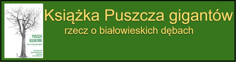 Puszcza gigantw